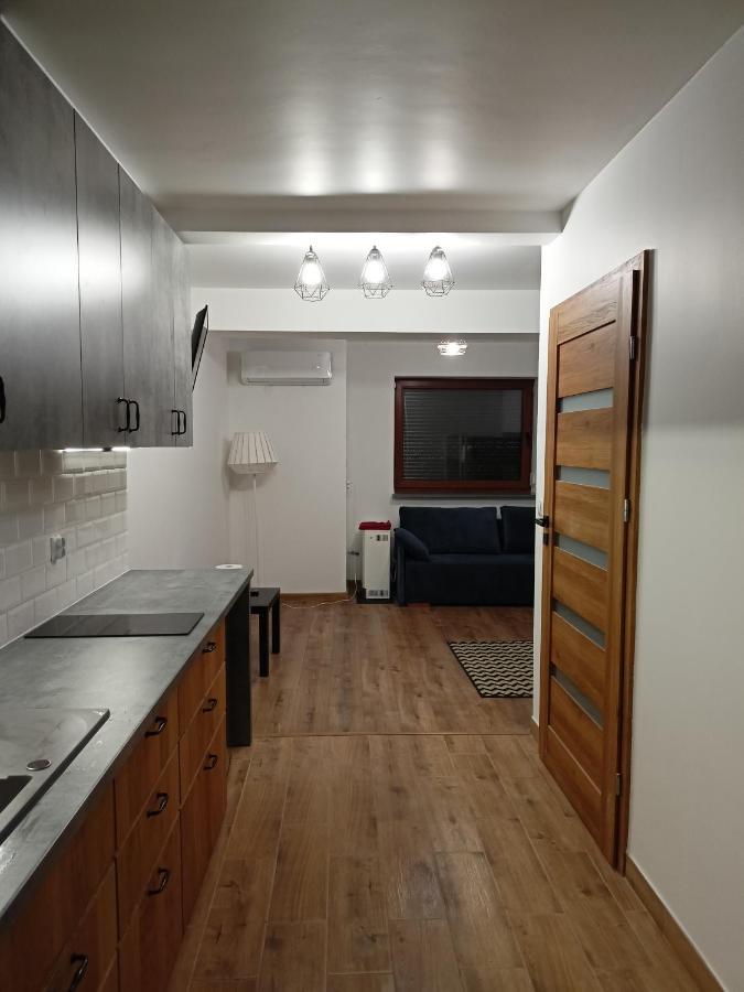 Apartament Antolka Закопане Экстерьер фото